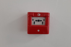 Foto-6